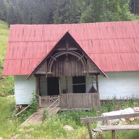 Moara Lui Ivan Hanasesti Екстериор снимка